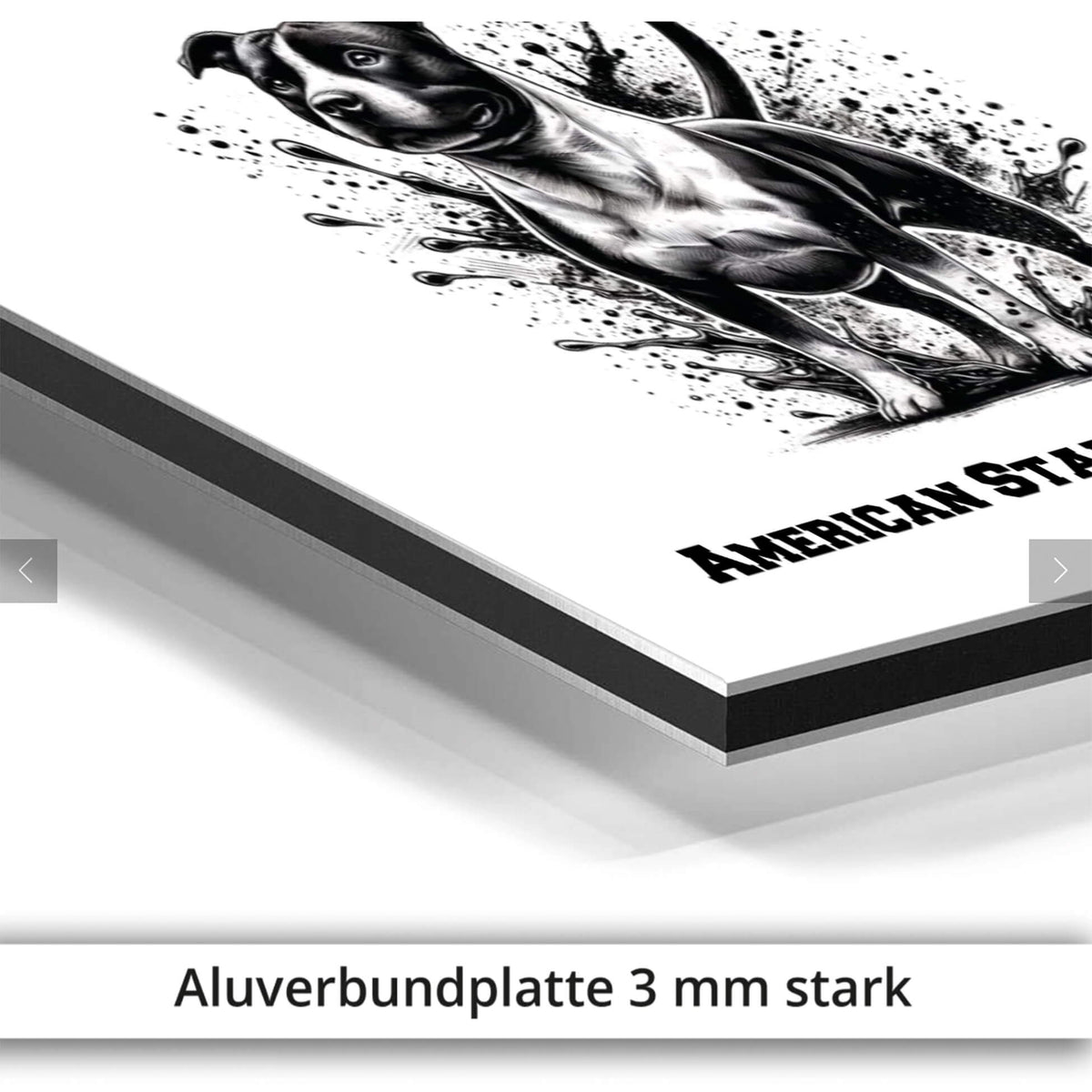American Staffordshire Terrier Schild mit grosser Illustration Aluverbundplatte