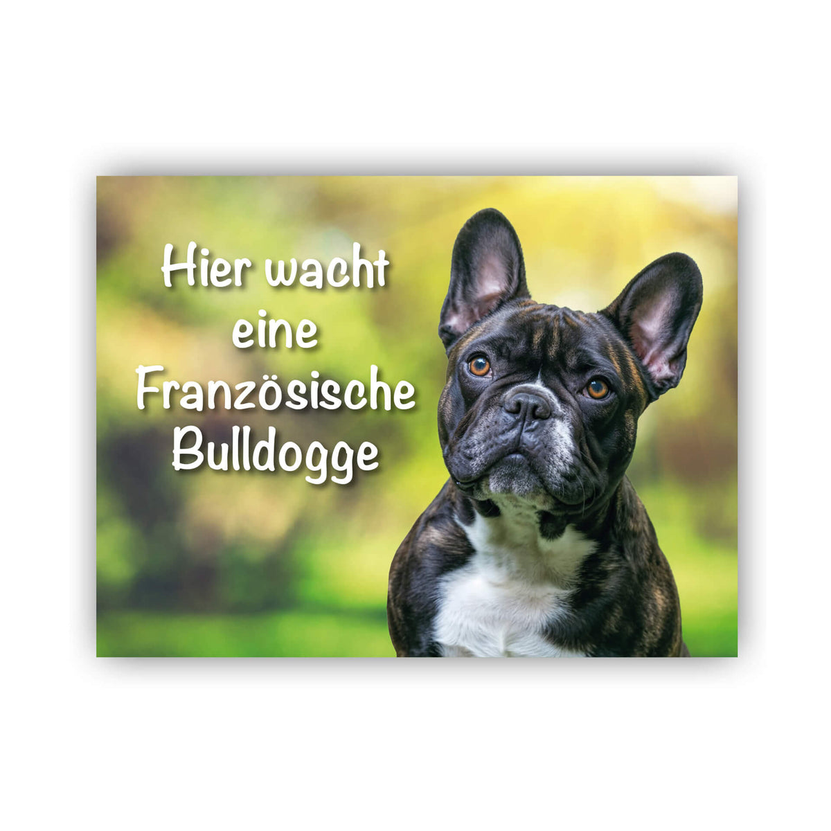 Franzoesische Bulldogge Schild Warnschild 004