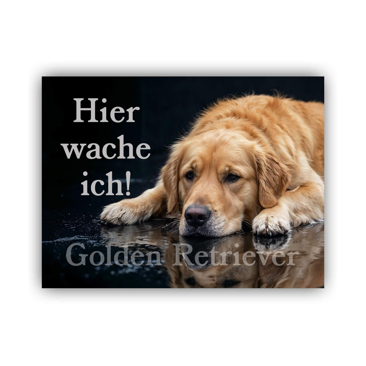 Golden Retriever Hier wache ich Warnschild 001