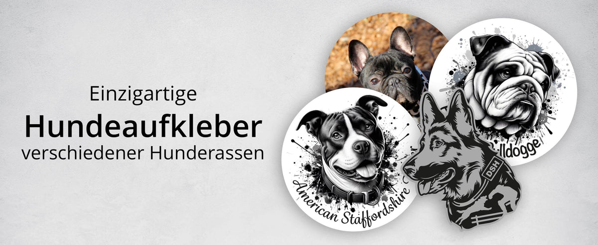 Meine-Pfote.de