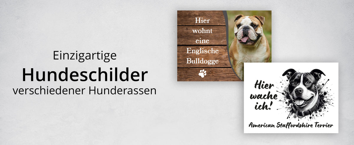 Meine-Pfote.de
