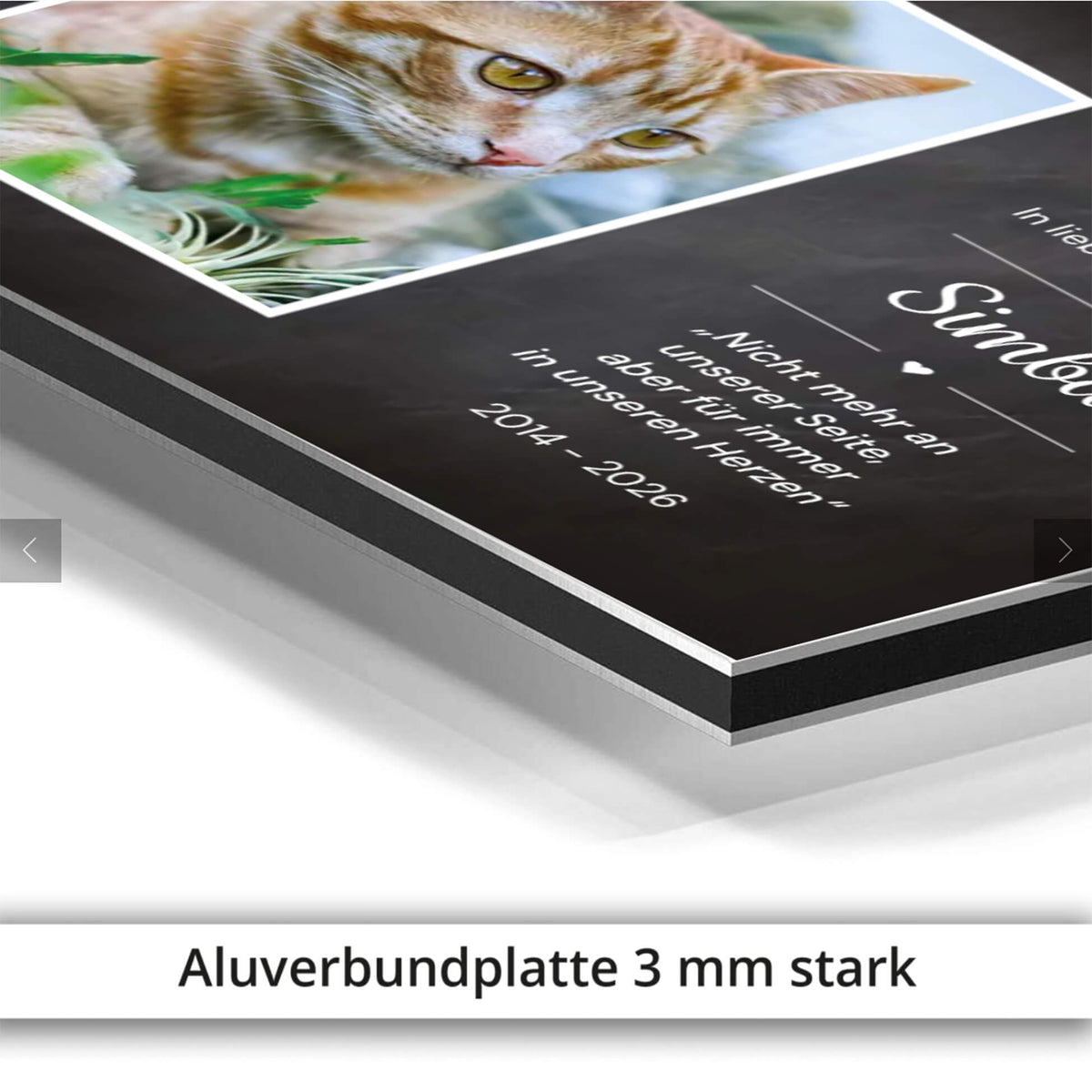 Katzen Gedenktafel Aluverbundplatte