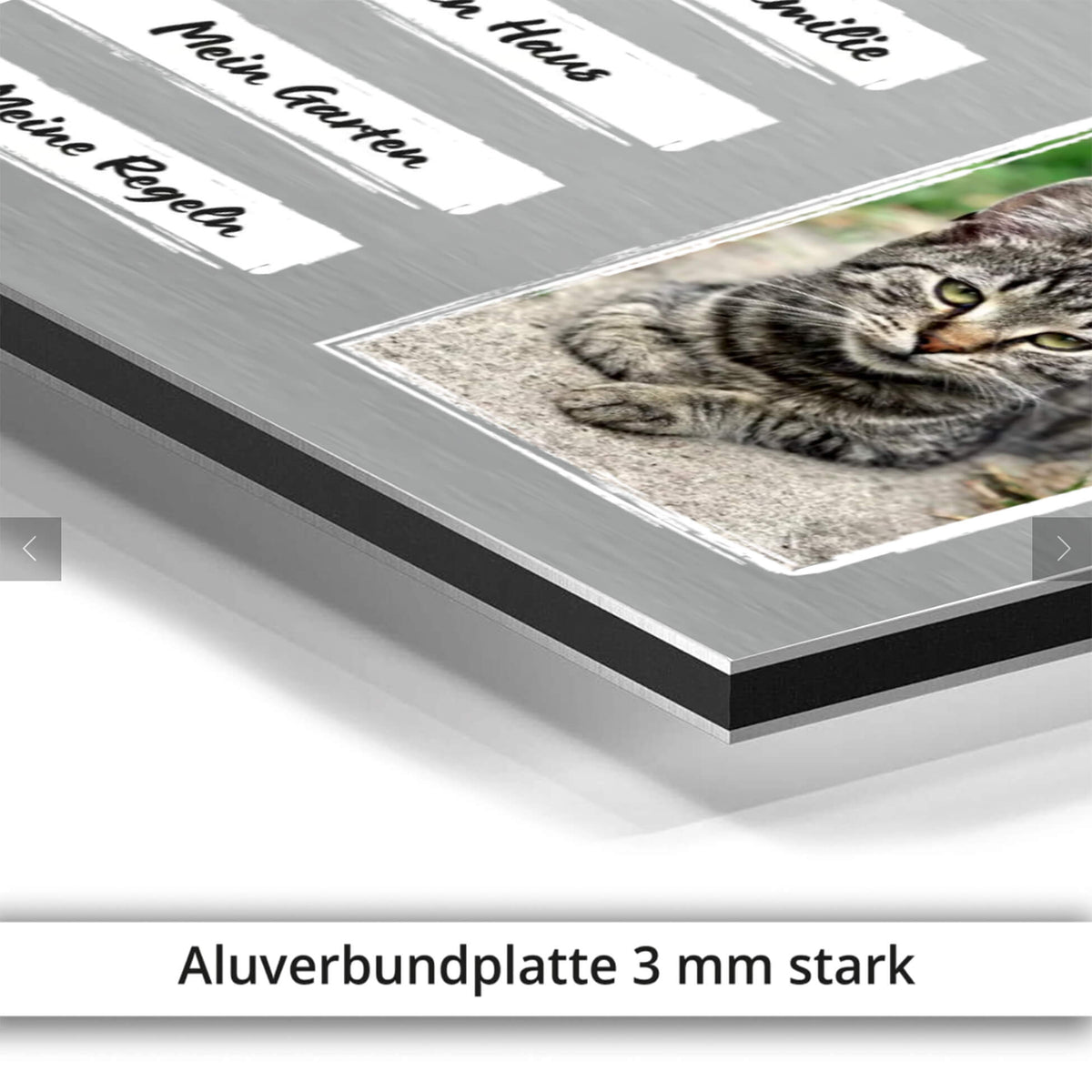 Katzenschild mit Foto Name Hintergrundwahl Aluverbundplatte
