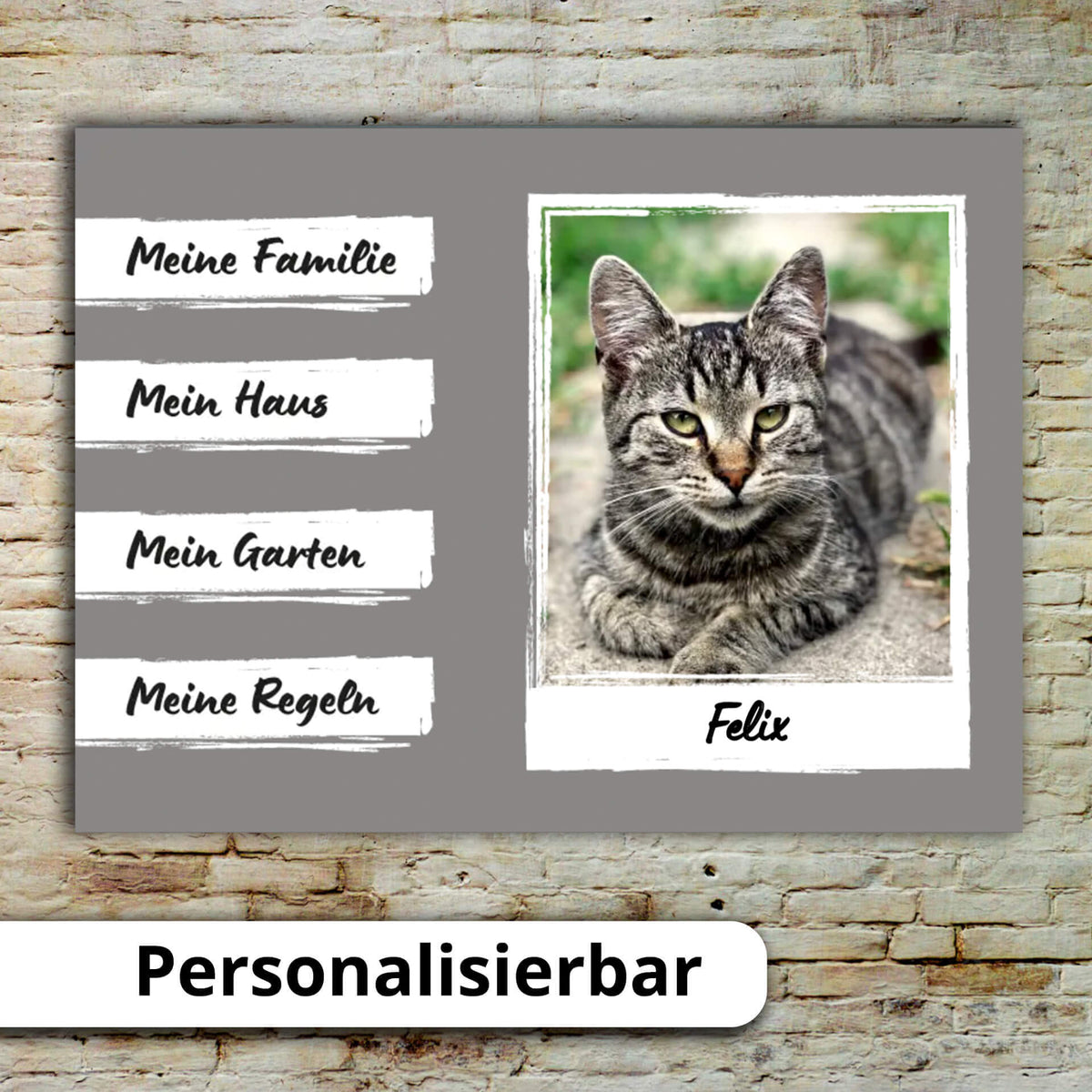 Katzenschild mit Foto Name Hintergrundwahl personalisiert