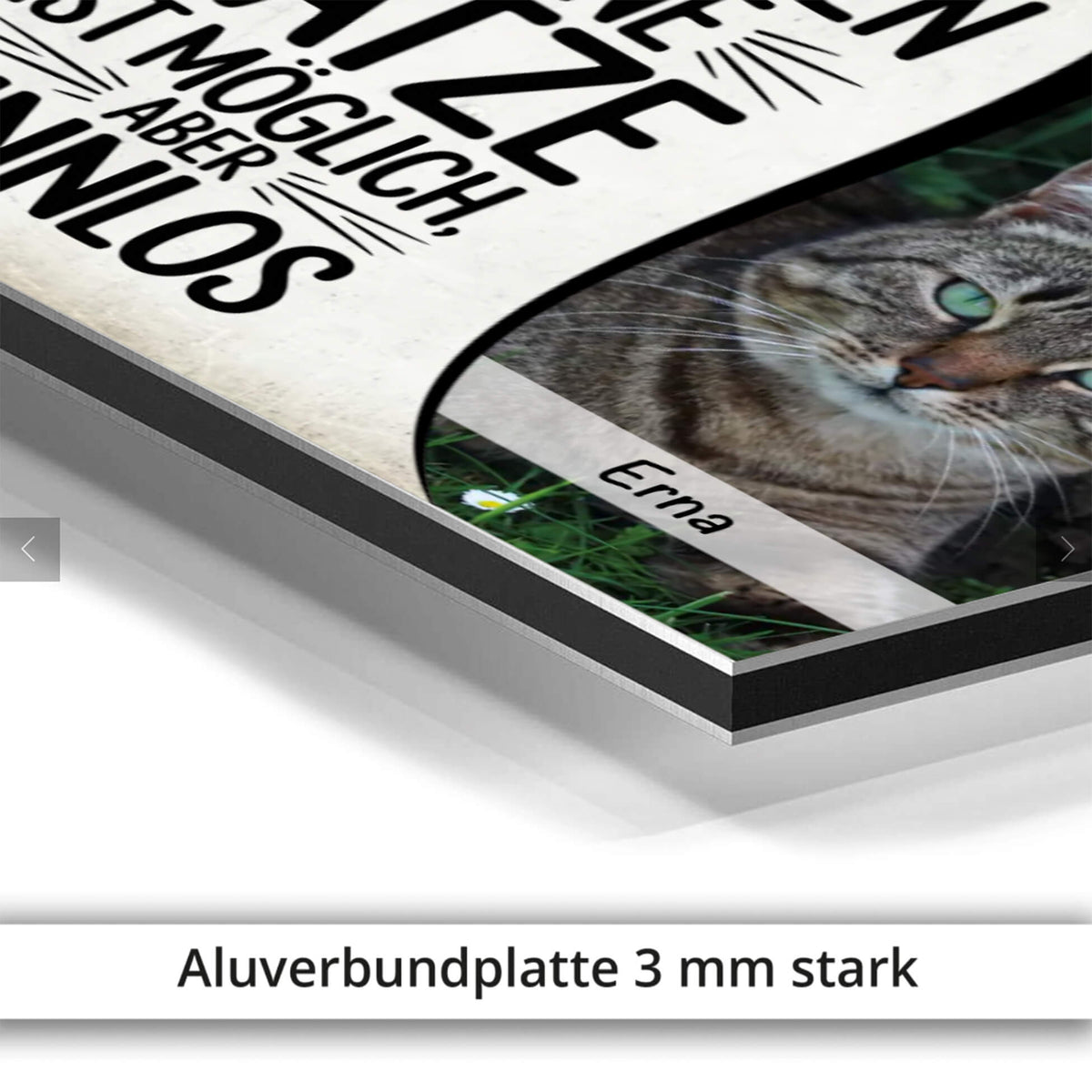 Katzenschild mit Foto Spruch Aluverbundplatte