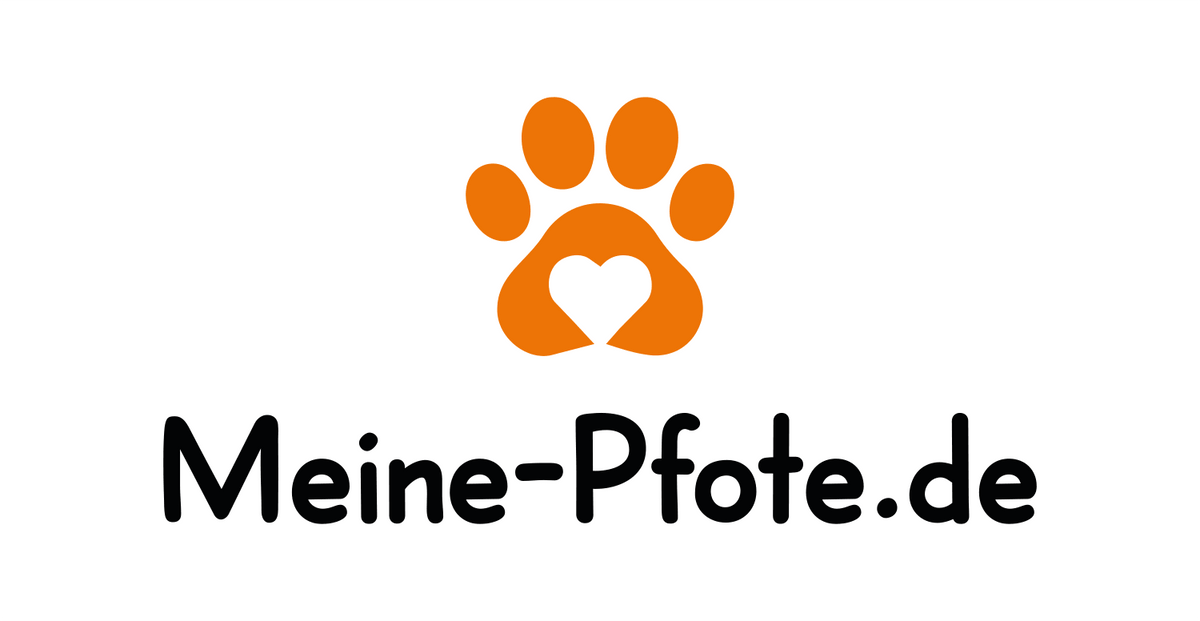 Meine-Pfote über uns