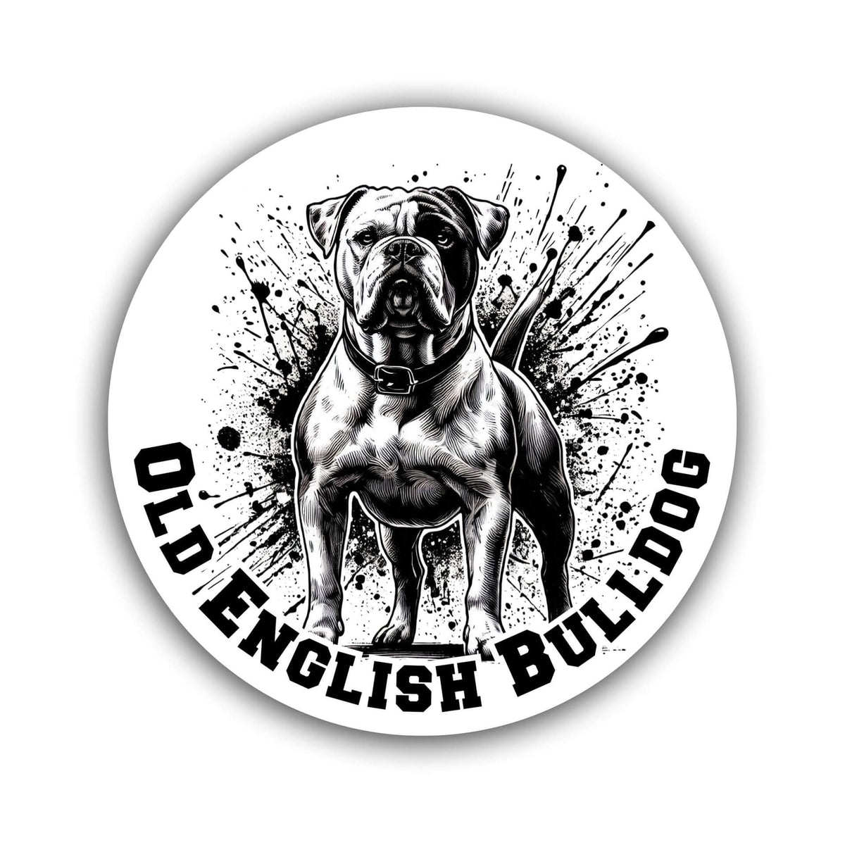 Old English Bulldog Aufkleber "B005"
