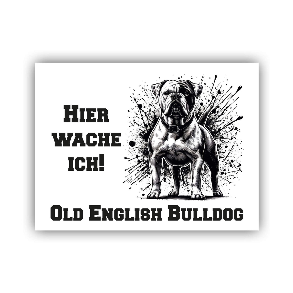 Old English Bulldog Schild "001"