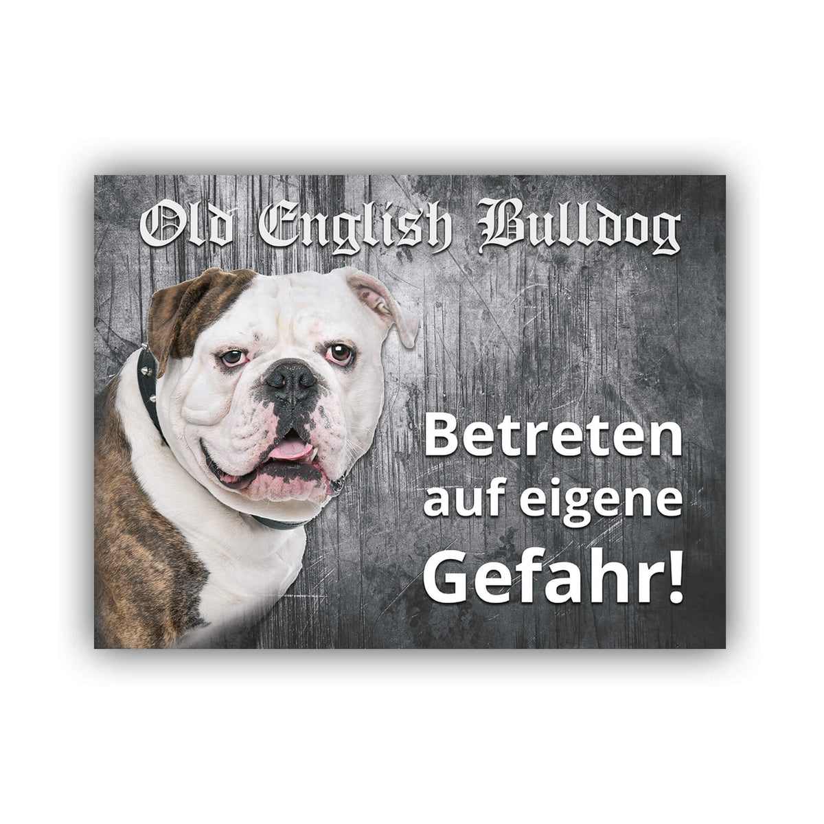 Old English Bulldog Schild "006"