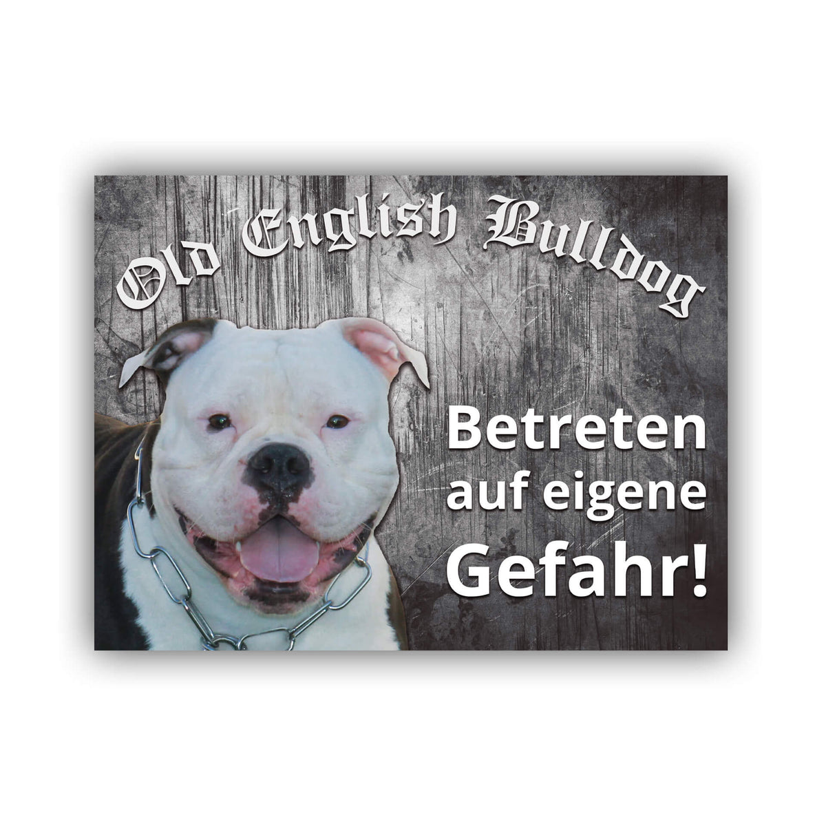 Old English Bulldog Schild "007"