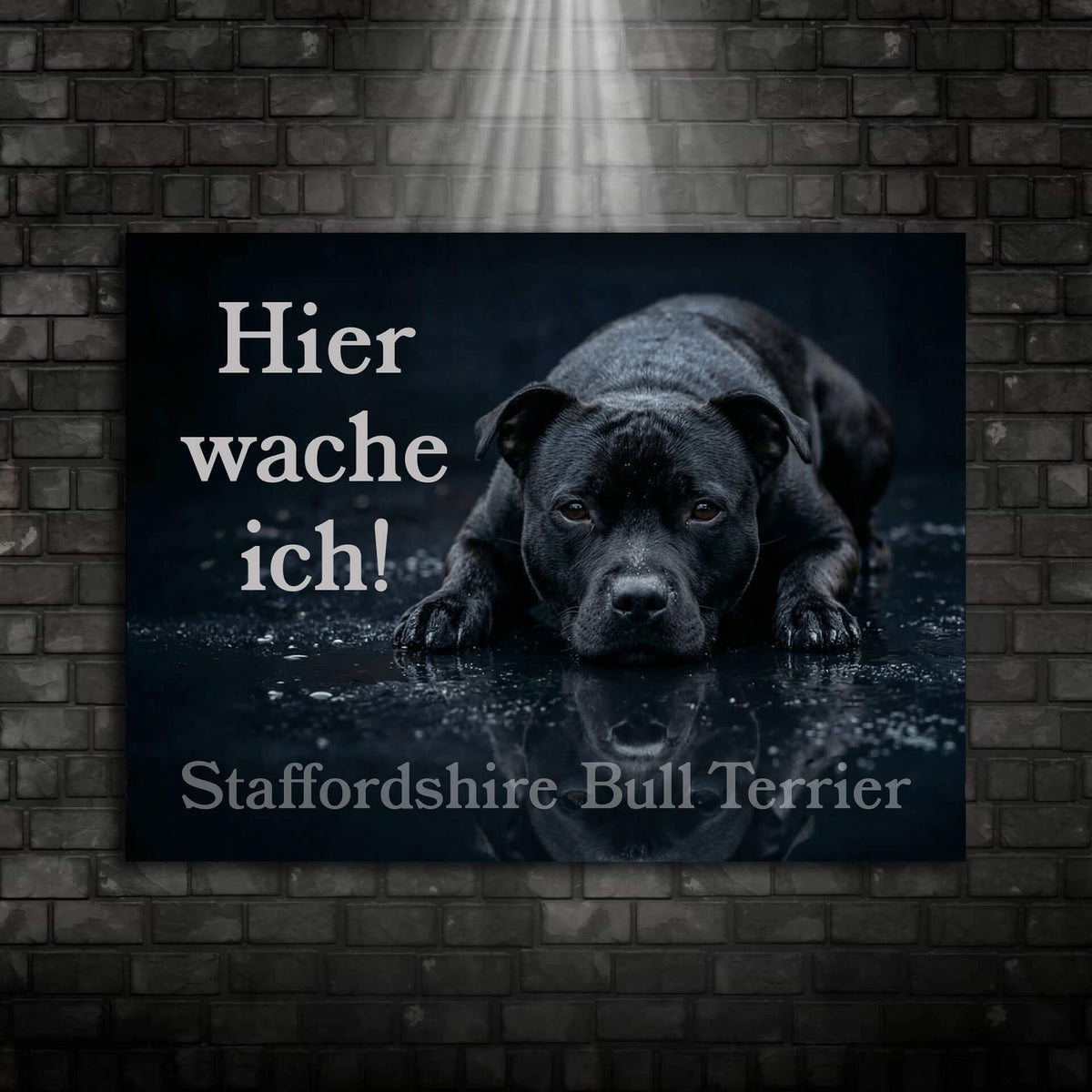 Staffordshire Bullterrier Warnschild Hier wache ich 008 Ansicht