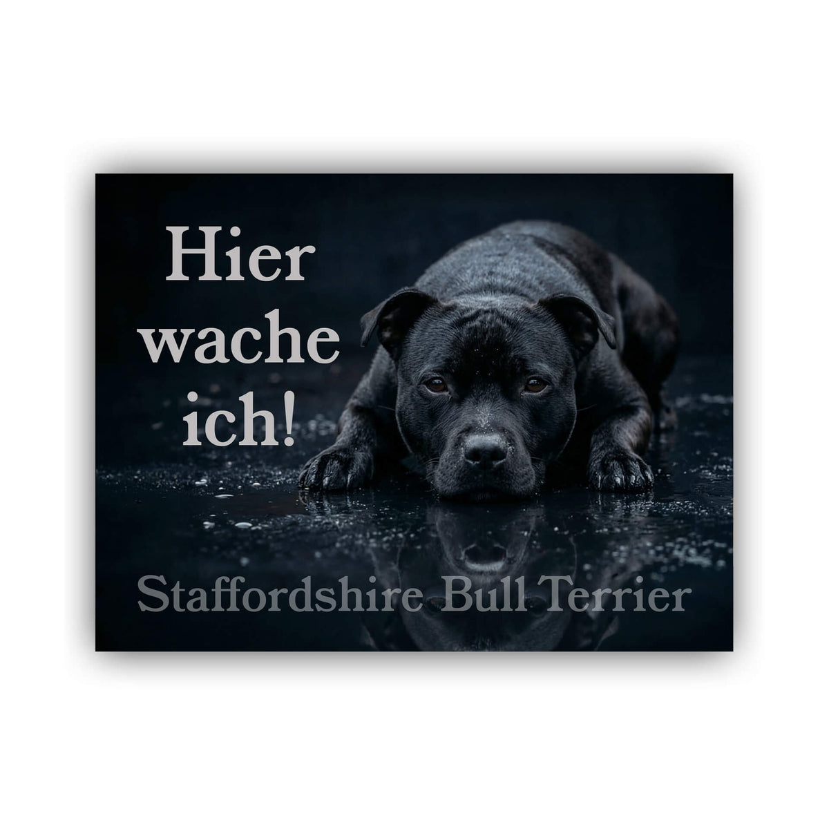 Staffordshire Bullterrier Warnschild Hier wache ich 008